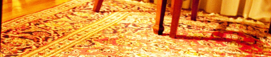 Roomba in Motion across the rug