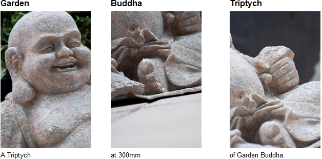 Garden Buddha Triptych Garden Buddha Triptych