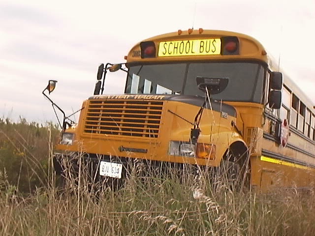 Vehicles - Schoolbus.jpg (120436 bytes)