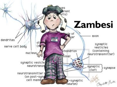 I think you need a new brain!