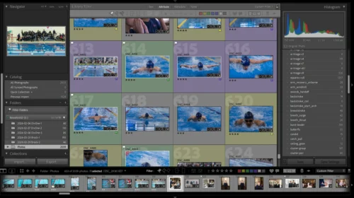 Lightroom grid of butterfly race photos beside a panel of AI triage and stroke keywords.