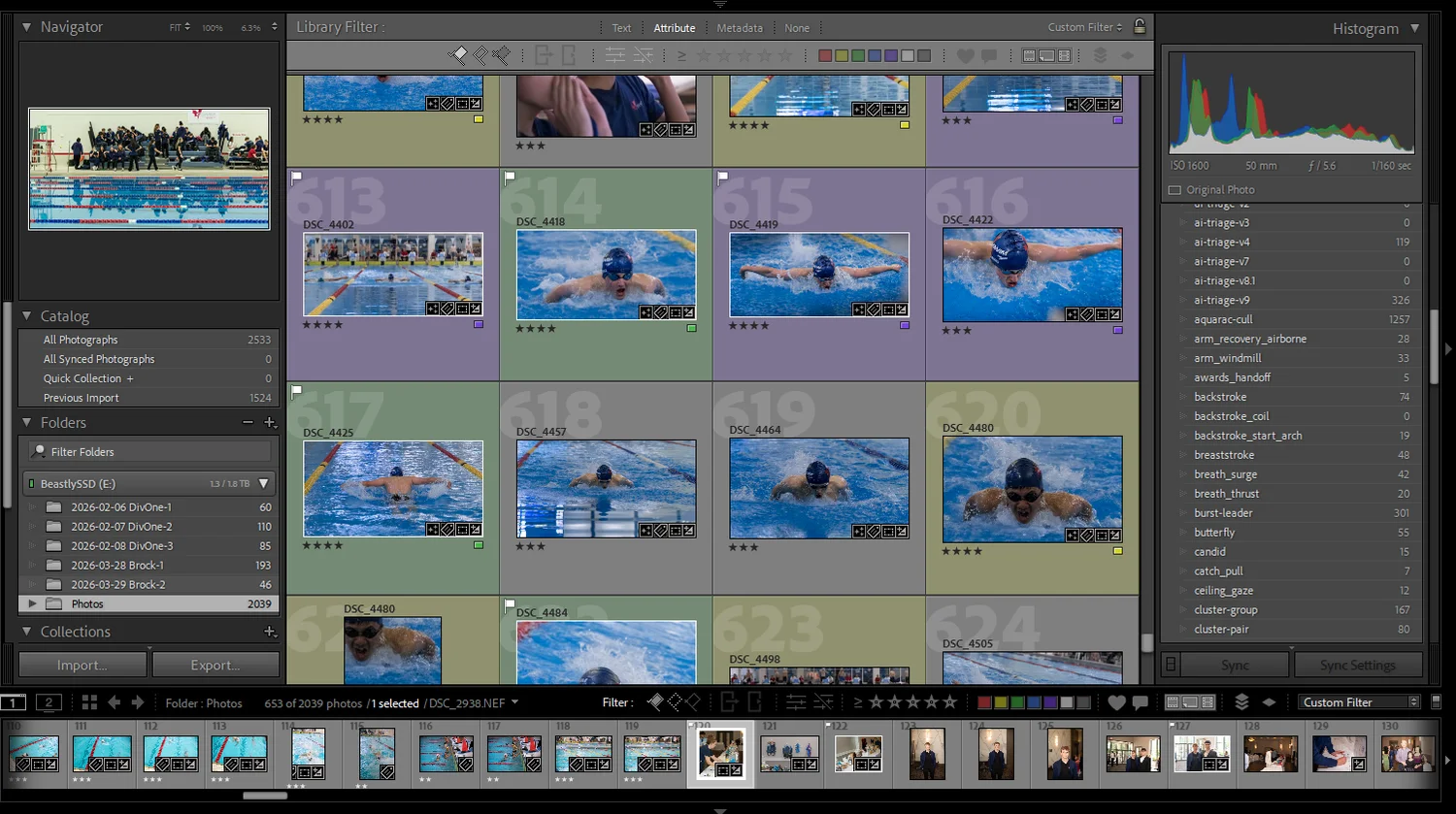 Lightroom Library grid showing a butterfly race sequence with star ratings and color labels, alongside a keyword panel of AI triage versions and swim shot-type keywords like arm_recovery_airborne and breath_surge