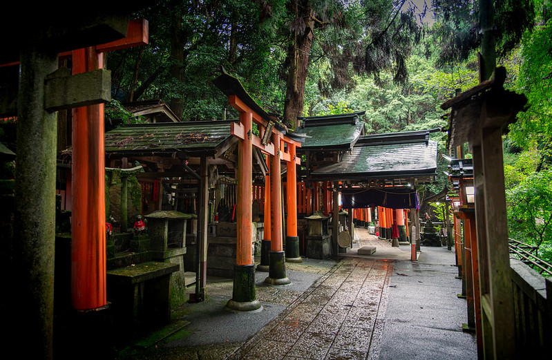 Quiet Sanctuary, the finished edit: vermilion torii gates in the forest