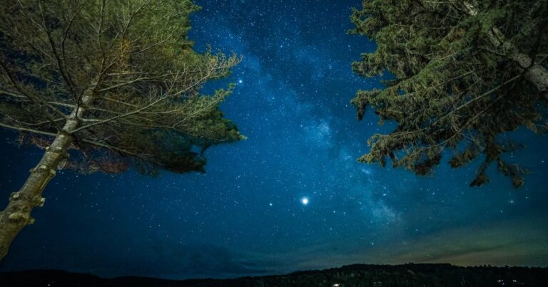 Two trees frame a star-filled sky above a quiet lake.