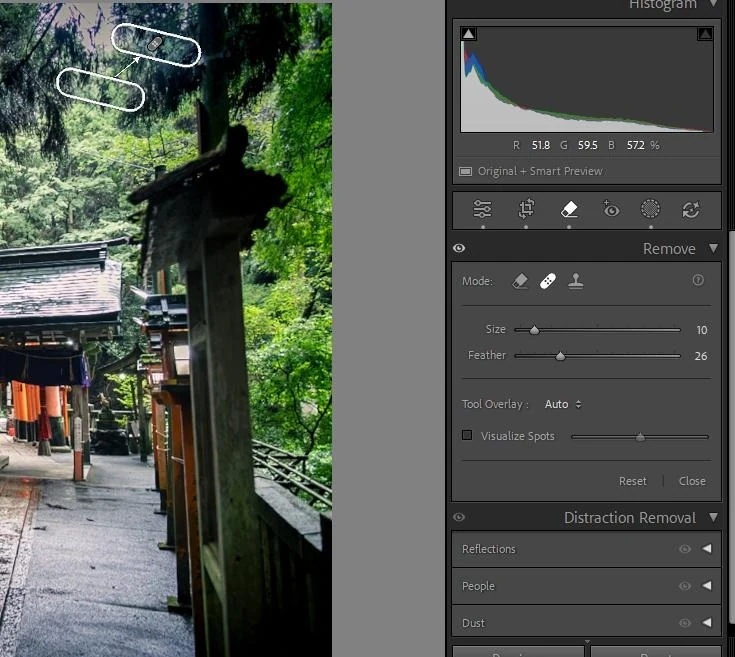 Lightroom's Remove tool, with a stray object in the trees marked for healing